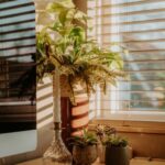 resized_19_api